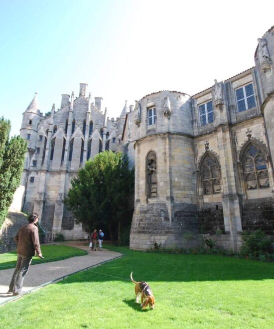 Poitiers: Eleanor of Aquitaine Walking Tour